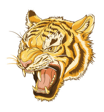A fierce roaring tiger head illustration with bold lines and vivid detail
