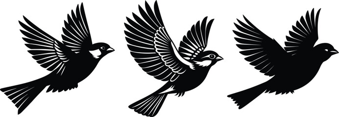 Three silhouettes of sparrows in flight