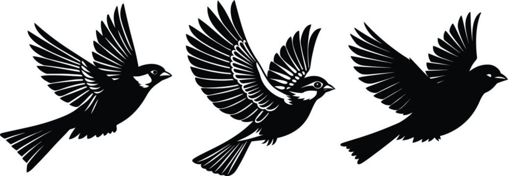 Three silhouettes of sparrows in flight