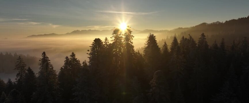 Autumn wind, gentle breeze, strong wind, kites; summer wind, forest, clouds, mist, sunrise, fiery clouds