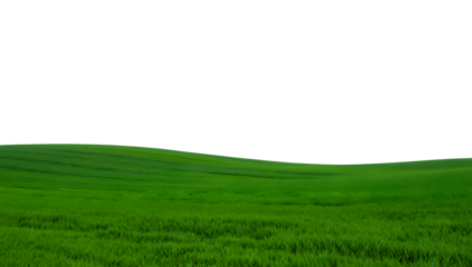 A vast, rolling green field of grass under a bright white sky, suggesting nature, agriculture, and open space, isolated on a transparent background