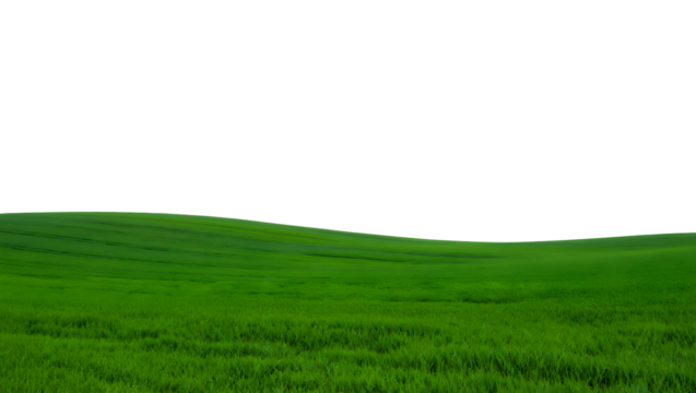 A vast, rolling green field of grass under a bright white sky, suggesting nature, agriculture, and open space, isolated on a transparent background