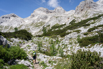 Hiker walking uphill towards rocky ridge in green alpine valley, Triglav National Park, Slovenia