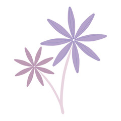 Hand drawn purple and pink flower illustration for ornament and stickers