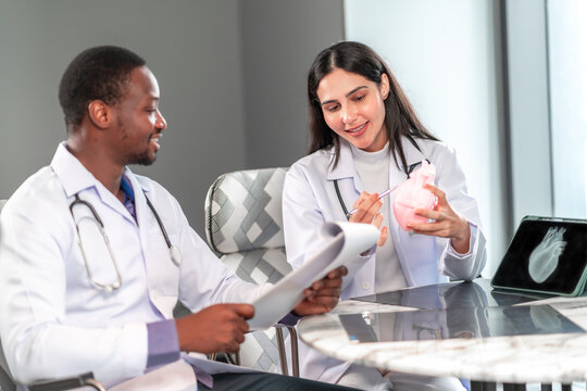Two professional doctors discussing a heart model for medical education in a modern clinic office, analyzing patient information and healthcare concepts using professional communication and teamwork.