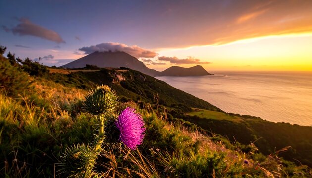 Coastal vista at sunset with mountain range, ocean, vibrant flower, and golden light