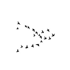 Flock of flying bird silhouettes on white background, minimalist vector illustration symbolizing freedom, migration, and nature.