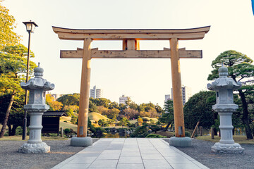 Fushimi Inari Shrine Torii Gates in Kyoto, Japan