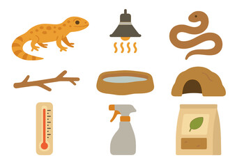 Essential equipment and accessories for reptile pet care in a terrarium habitat