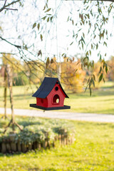 A red bird feeder hangs on a branch in the park.