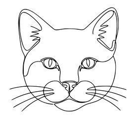 vector illustration of a cat