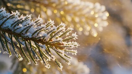 Sunlit frosted pine branch with falling snow during a winter sunset. Magical and peaceful holiday scene. - Powered by Adobe