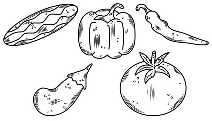 Hand drawn vegetable line art set, cucumber, paprika, chili, egg plant, tomato outline illustration. Black and white minimal sketch for organic food, print, kitchen design