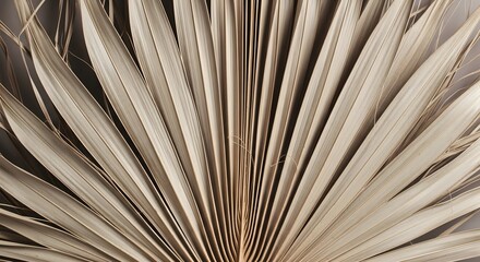 Close-up of old open book pages with brown and yellow paper texture