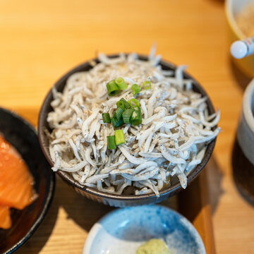 Shirasu or whitebait, small sardine fish, on top of rice in the bowl. This is the famous food menu in Kamakura. Japanese cuisine object with close-up.