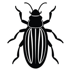 beetle vector icon