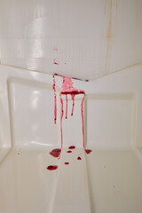 Violent bloodshed in bathroom, Bloodstains detail recent brutal attack, Forensic scene reveals...