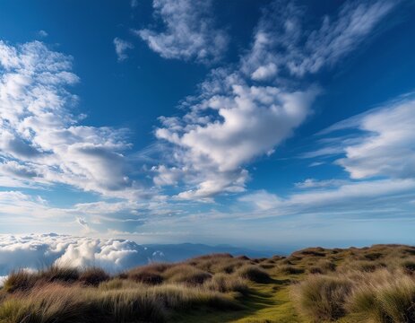 majestic clouds soaring through the azure sky a serene cloudscape paradise of tranquility - Powered by Adobe