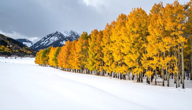 Snowy meadow meets golden autumn forest, under a cloudy sky, framed by distant, snow-capped mountains - Powered by Adobe