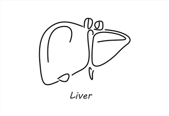 Minimalist Line Art of a Human Liver Organ