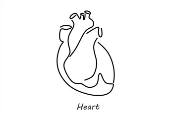 Minimalist Line Drawing of a Human Heart
