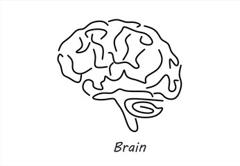 Minimalist Line Art Human Brain
