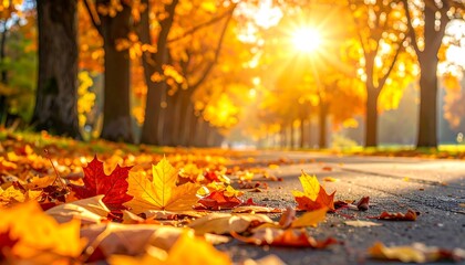 Sunlit pathway through a tree-lined street in autumn. Fallen leaves in foreground with vibrant colors of the season. Warm golden light