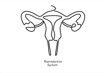 Female Reproductive System Continuous Line Art