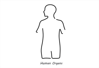 Minimalist Human Body Outline for Medical and Educational Content