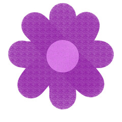 pink flower on white background