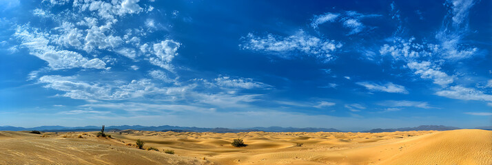 Limitless Desert Horizon: xploring the Boundless Beaty and Adventure of Natures Endless Expanse Beyond te Dunes