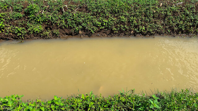 A small drainage channel with muddy brown water surrounded by green grass and soil banks. Natural irrigation waterway in rural area, suitable for agriculture, environment, or nature themes.