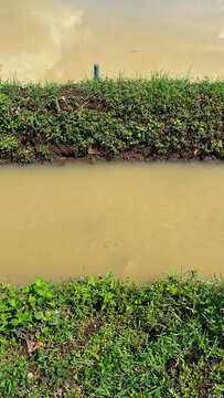 A small drainage channel with muddy brown water surrounded by green grass and soil banks. Natural irrigation waterway in rural area, suitable for agriculture, environment, or nature themes.