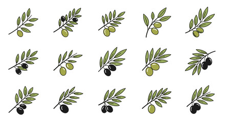 Set of 15 stylized olive branches with green and black olives, presented in a clean, vector cartoon illustration style on a white background, perfect for branding, logos, and design elements related