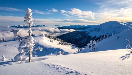 Snowy vista with a frosted tree in the foreground, mountains behind, and a bright, partly cloudy sky above