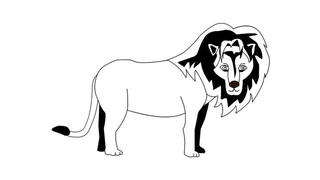Animated video of a lion in black and white cartoon style, art, animal.
