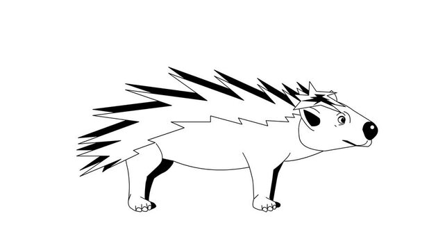Animated video of a porcupine in black and white cartoon style, art, animal.
