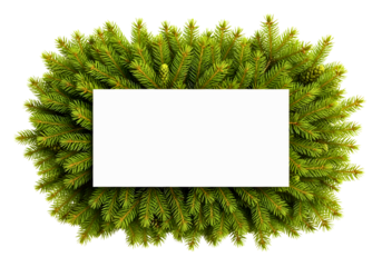 Green fir branches forming a square frame around a white rectangle isolated on transparent background