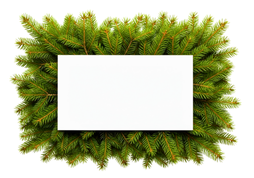 Green fir branches forming a square frame around a white rectangle isolated on transparent background