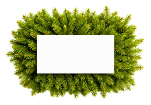 Green fir branches forming a square frame around a white rectangle isolated on transparent background