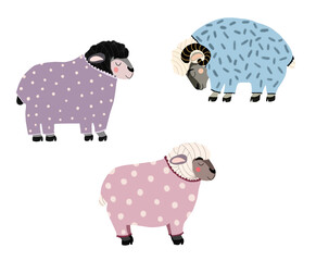 Set of three cartoon style cute sheeps in pajamas. Isolated images on transparent background. 