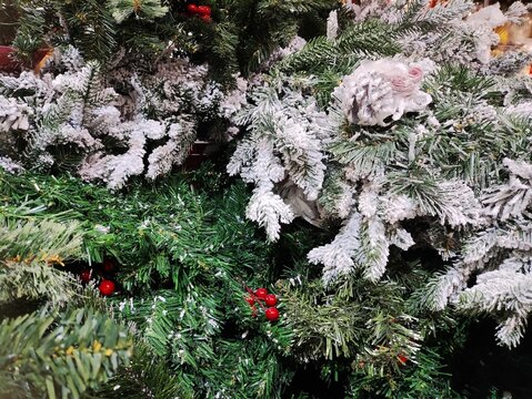 Winter Christmas holiday background with artificial frosted pine needles and vibrant red holly berries for seasonal decor - Powered by Adobe