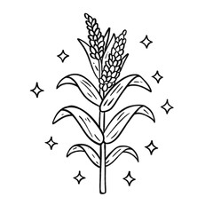 Corn stalk line art with sparkling decorative accents in a minimal black outline farm style