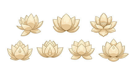 Set of seven elegant golden lotus flowers in various stages of bloom, presented as a clean vector cartoon illustration on a white background, perfect for beauty, spa, and wellness branding