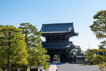 日本、京都、清涼寺、紅葉、秋、絶景、寺院、文化財、木造建築、古代建築、日本文化、歷史名勝、文化財、木、綠色、青空、写真素材