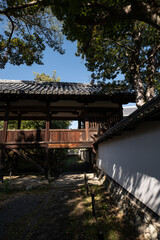 日本、京都、清涼寺、紅葉、秋、絶景、寺院、文化財、木造建築、古代建築、日本文化、歷史名勝、文化財、木、綠色、青空、写真素材