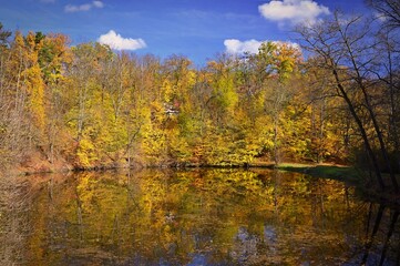 Autumn time. Beautiful landscape with colorful trees. Outdoor natural background for fall time.