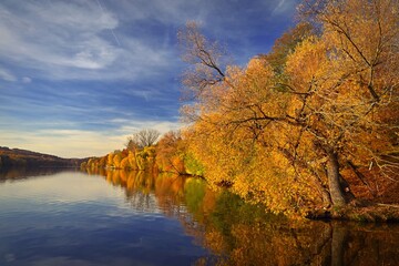 Autumn background with colorful trees. Nature with landscape. Seasonal concept for fall.