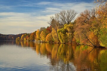 Autumn background with colorful trees. Nature with landscape. Seasonal concept for fall.