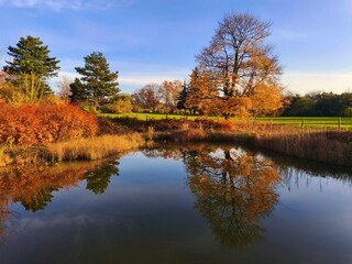 Beautiful colourful autumn landscape in the Czech Republic. Colorful trees in nature in autumn season. Seasonal concept for outdoor activities.